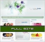 Website Templates 1359