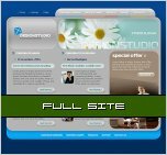 Website Templates 1424