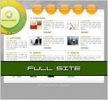 Website Templates 1522