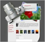 Website Templates 1545