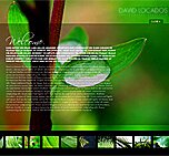 Website template 1704